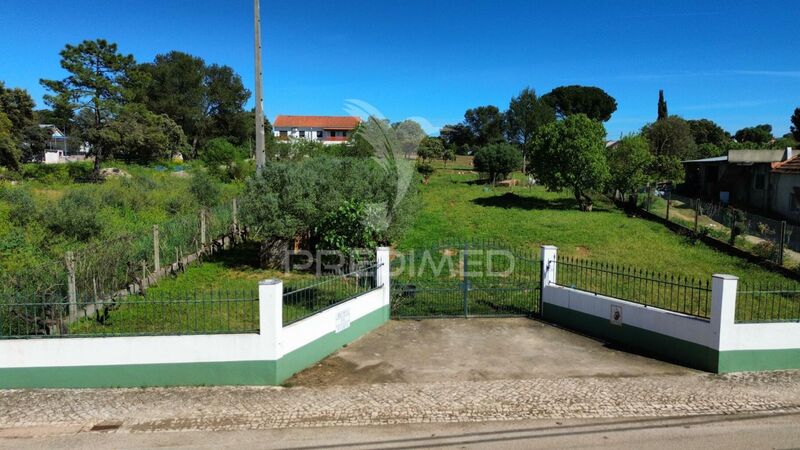 Plot Rustic with 4590sqm Bugalhos Alcanena - fruit trees, water, well, construction viability