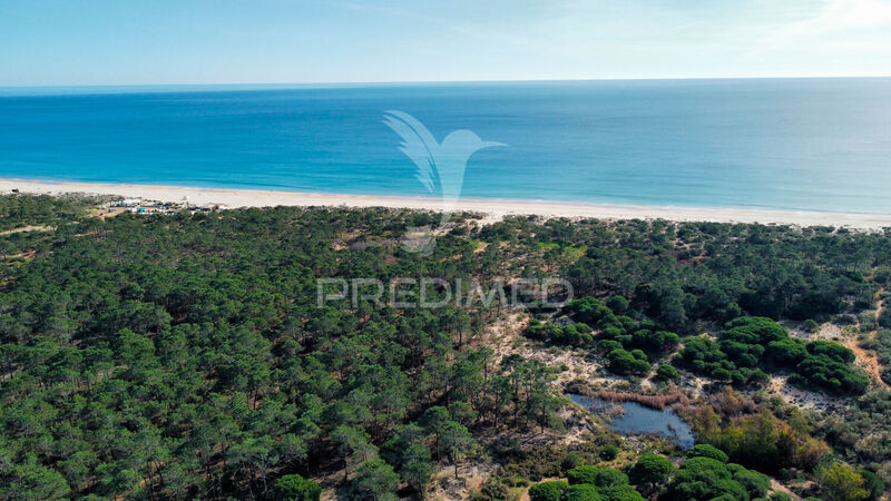 Land with 315980sqm Altura Castro Marim