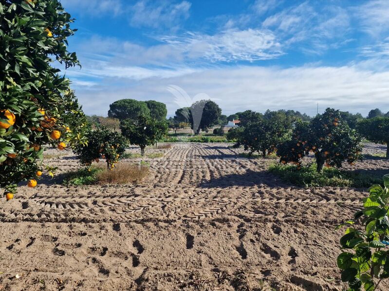 Homestead V7 Grândola - well, solar panels, fruit trees, solar panels, water, equipped, good access, tank, barbecue, water hole