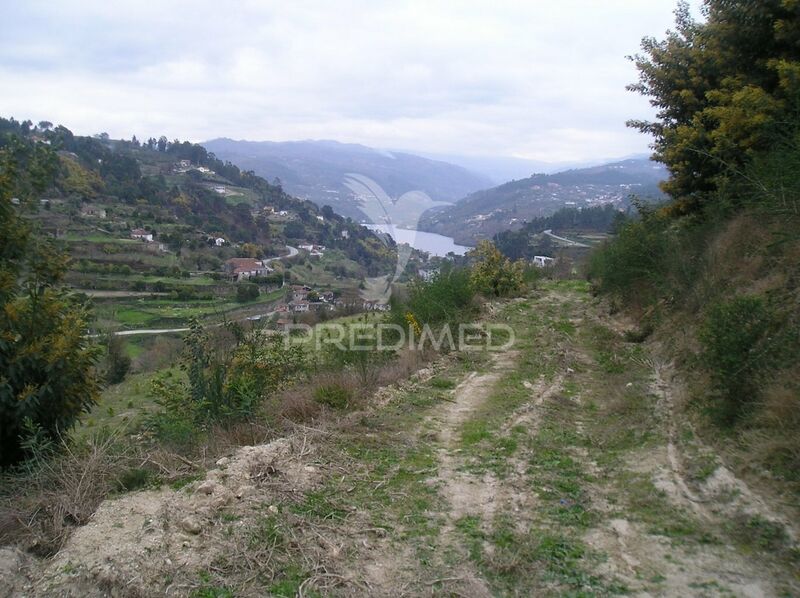 Terreno para construção Marco de Canaveses - laranjeiras, sobreiros