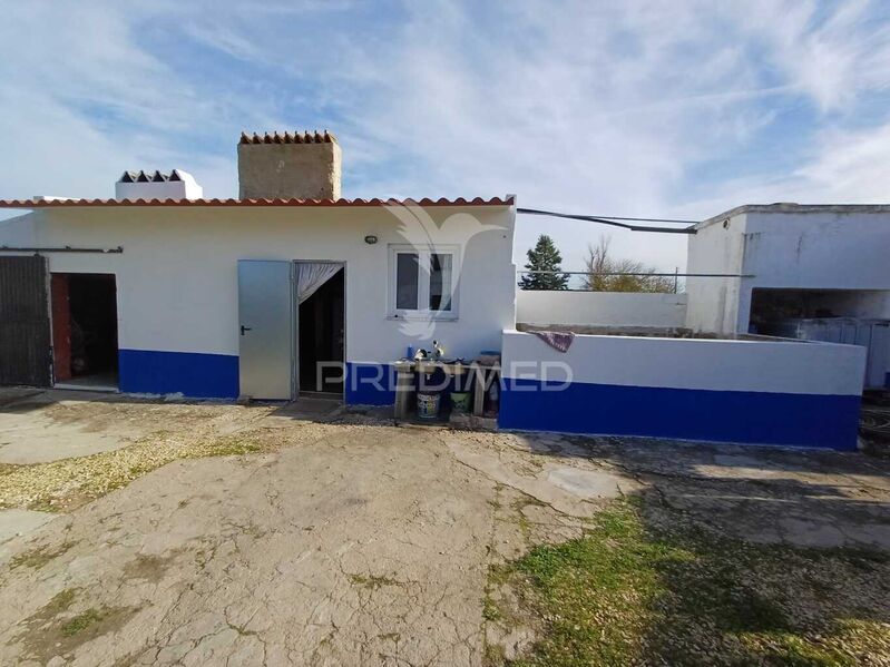 House V4 Alpiarça - backyard, garage