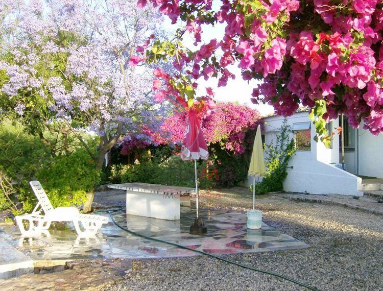 House 4 bedrooms Tavira - garden