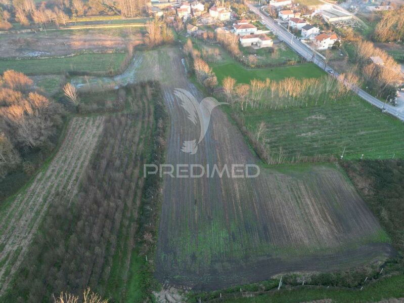 Terreno novo com 9700m2 Santo Estevão (Briteiros) Guimarães