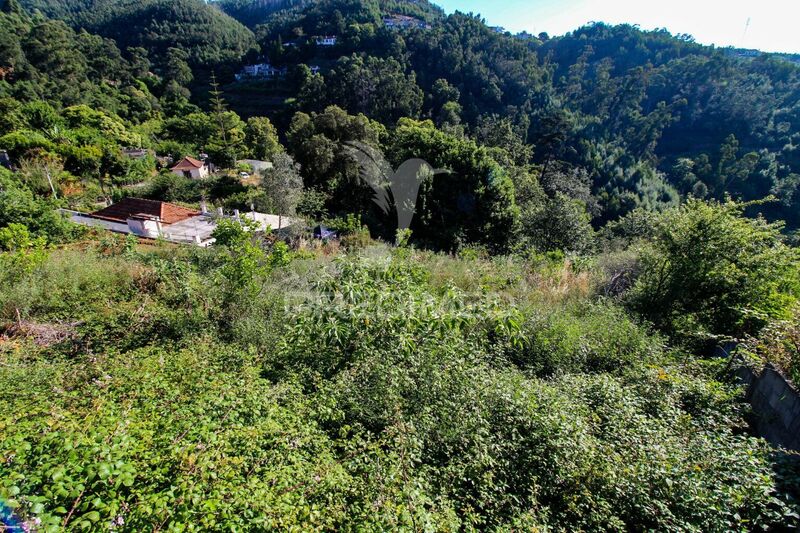 Lote de terreno com 2680m2 Caniço Santa Cruz - árvores de fruto