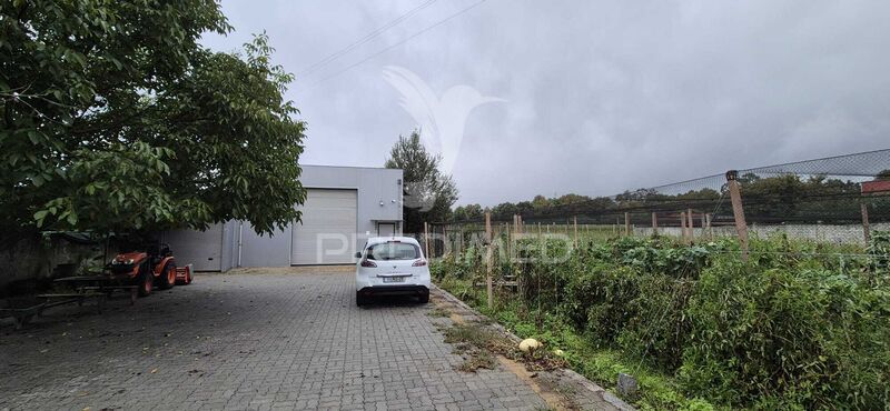 Farm V0 Turiz Vila Verde - water hole, water