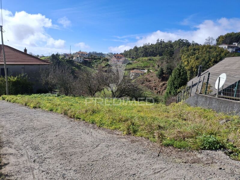 Terreno Rústico com 1700m2 Camacha Santa Cruz - zona sossegada