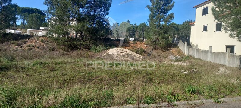 Plot of land new with 604sqm Constância