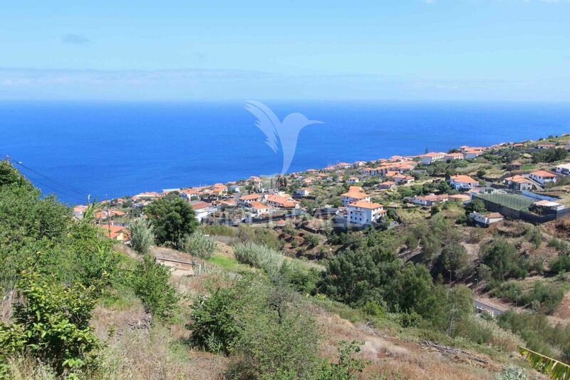 Land Agricultural with 6180sqm Gaula Santa Cruz - sea view