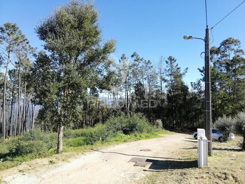 Plot with 8500sqm Miranda do Corvo