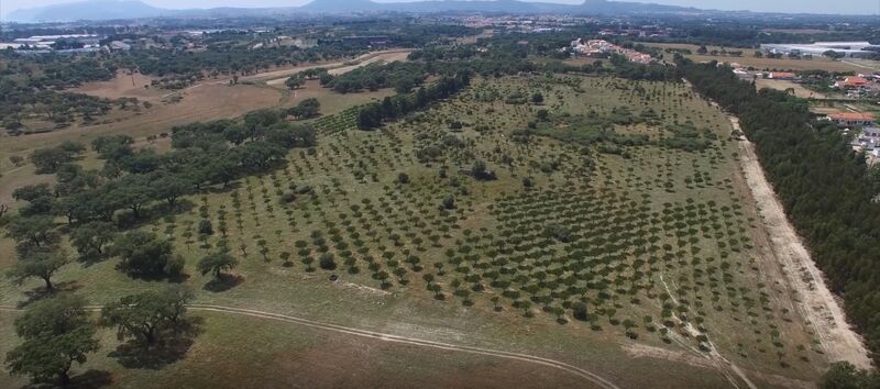 Terreno Agrícola com 1430000.67m2 Sado Setúbal