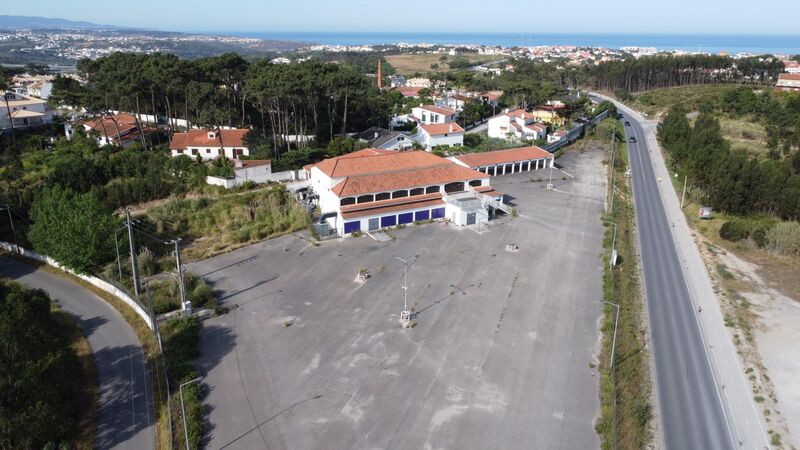 Disco Ericeira Mafra - kitchen, spacious