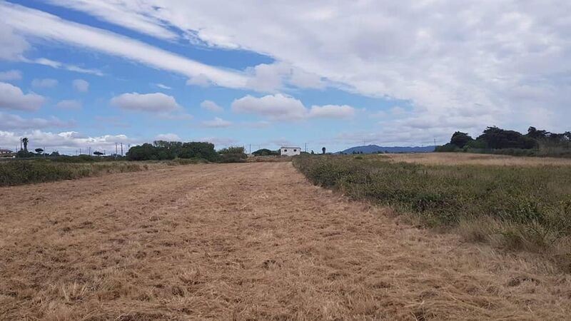 Terreno Agrícola com 3800m2 Terrugem Sintra - água, luz