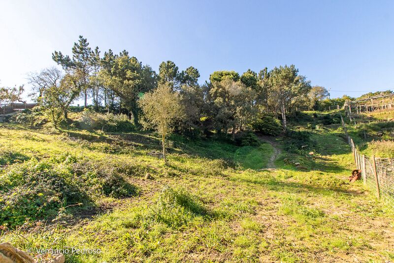 земля равнинный Ericeira Mafra