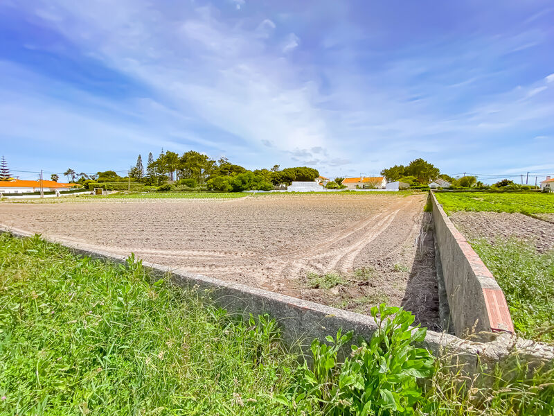 Land flat São Julião São João das Lampas Sintra