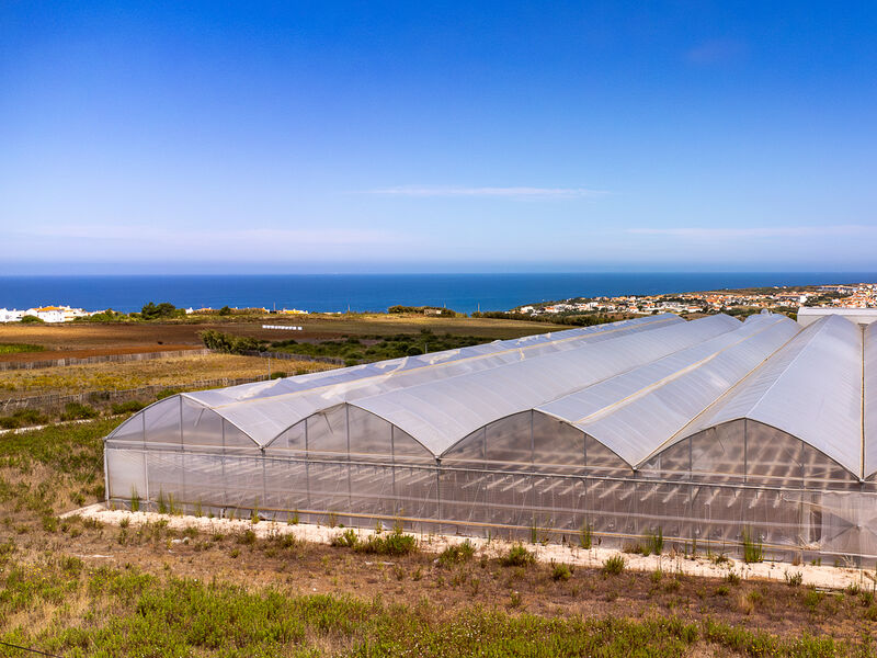 Terreno Agrícola com 40750m2 Ericeira Mafra - água