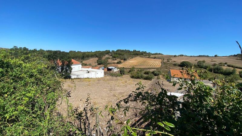 Terreno plano Ericeira Mafra