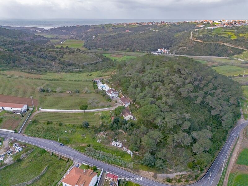 Land with 6062sqm Ericeira Mafra - water, electricity