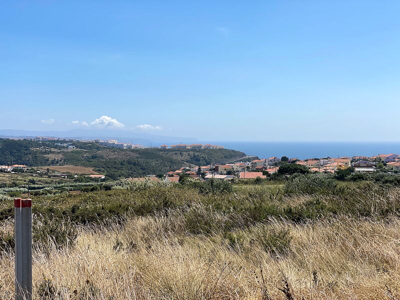 земля загородный равнинный Ericeira Mafra - возможность строительства