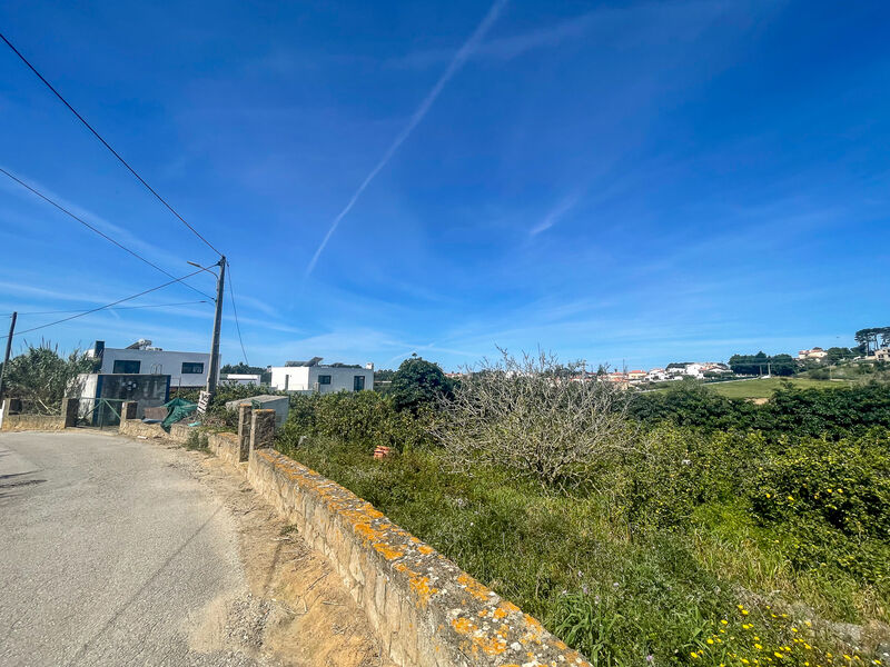 Land Urban with 5625sqm Ericeira Mafra - construction viability