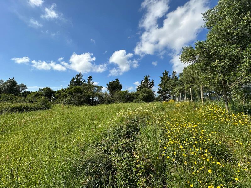Terreno Agrícola com 5562m2 Mafra - luz, água, viabilidade de construção, furo