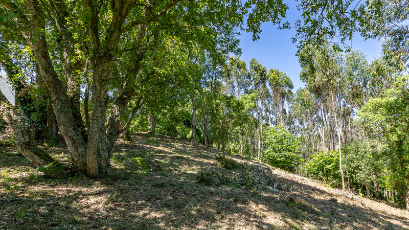 Terreno Agrícola com 6249m2 Centro  Igreja Nova Mafra - luz, água, viabilidade de construção