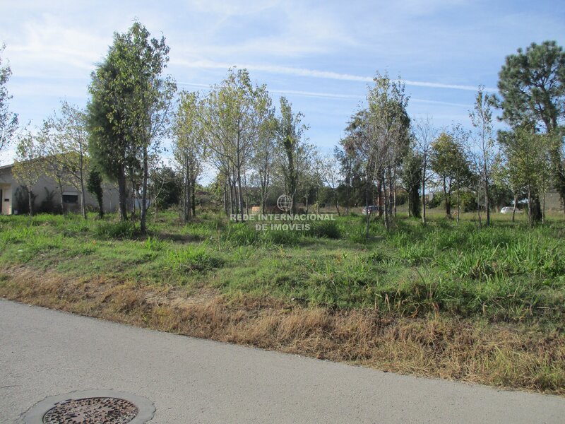 Terreno em Bustos