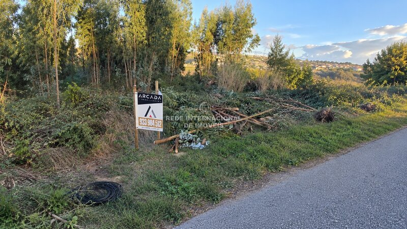 Terreno Vale Gracioso - Leiria