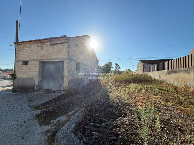 Adega Industrial com 50m2 Oliveira do Bairro - bons acessos