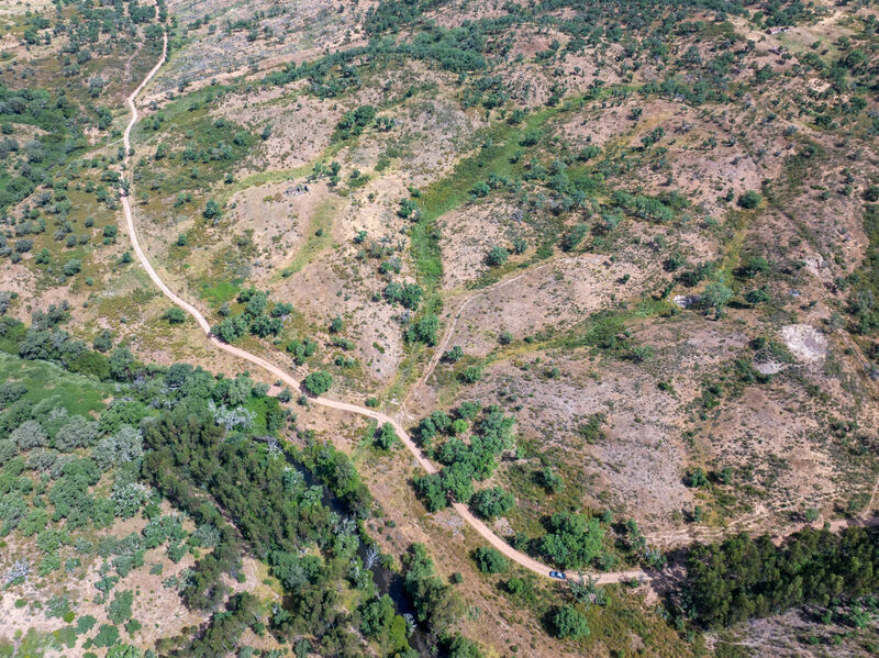 Land with approved project São Bartolomeu da Serra Santiago do Cacém - cork oaks, water, water hole