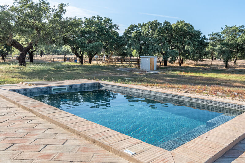 House nieuw V2 Álcácer do Sal Alcácer do Sal - swimming pool