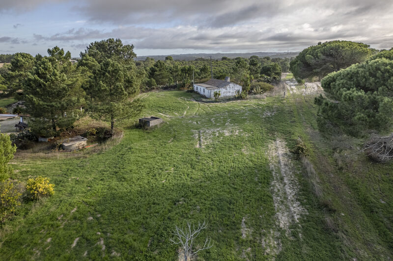 Monte com 4000m2 de lote e ruína, em Melides