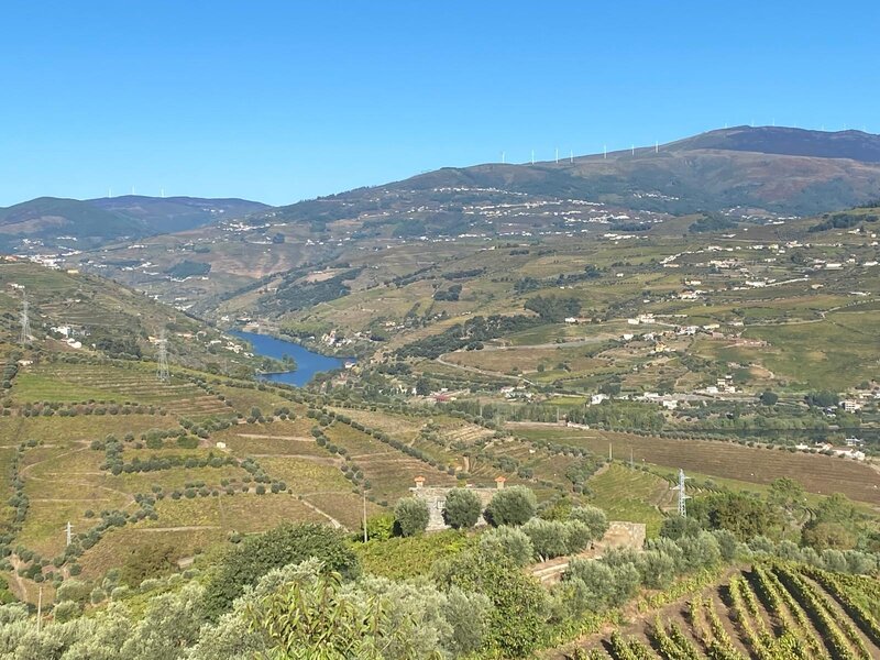Quinta V6 Cambres Lamego - jardim, água, oliveiras, garagem, bons acessos, árvores de fruto