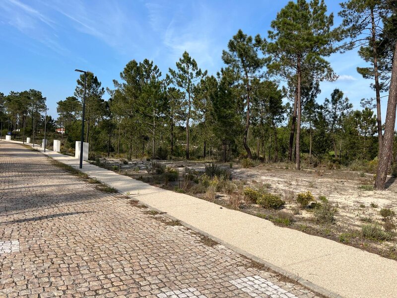 Tontti Kaupunkimainen with 2388sqm Grândola - helppo pääsy