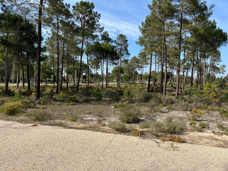 Lote de terreno Urbano para construção Grândola - bons acessos
