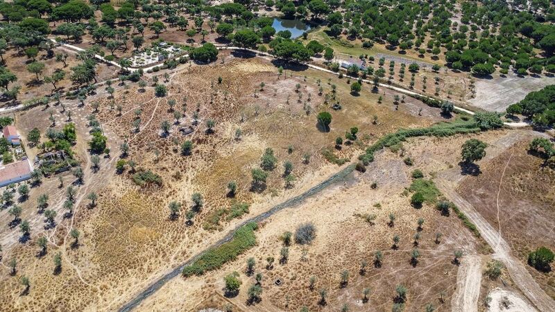 Farm V5 Montemor-o-Novo - electricity, water hole, mains water, water, well