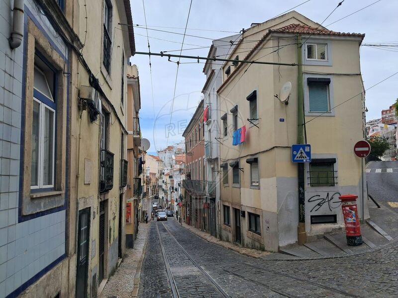Apartment 1 bedrooms Santa Maria Maior Lisboa - garden