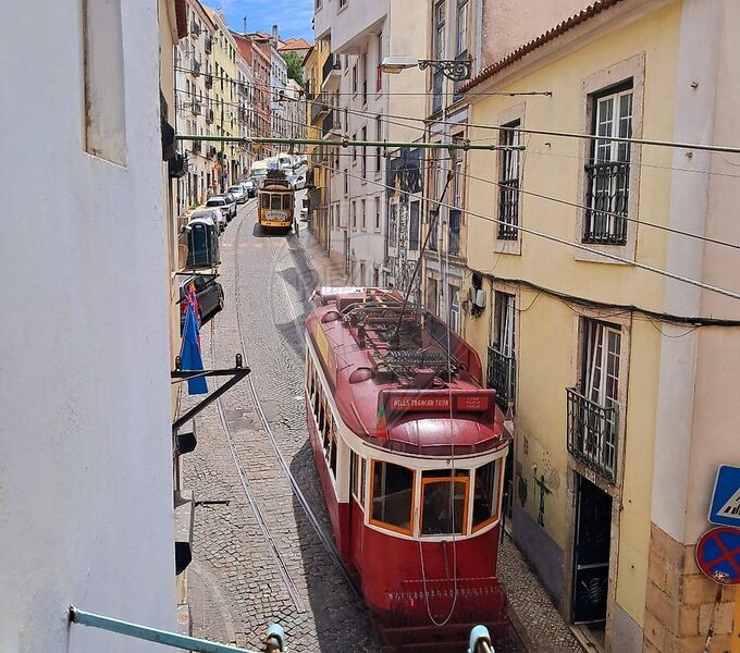 Apartamento T1 Santa Maria Maior Lisboa - jardim