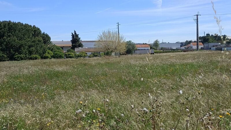 Land Urban with 11000sqm Quinta do Anjo Palmela