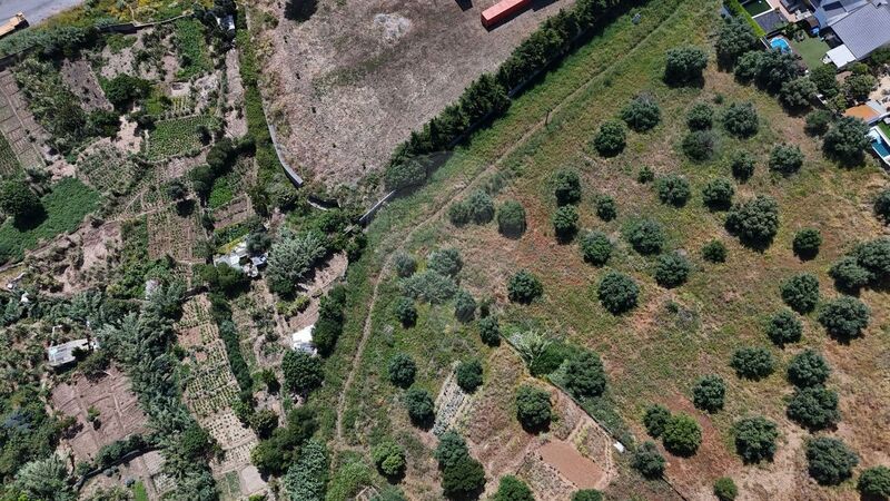 Land Urban with 5545sqm Loures - easy access
