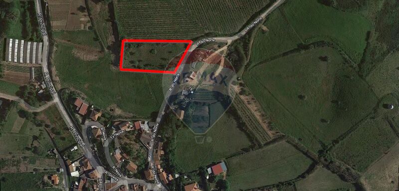 Terreno Agrícola com 3240m2 Mafra