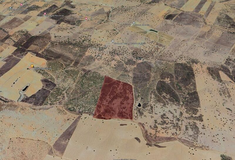 Land Rustic with 152250sqm Corval Reguengos de Monsaraz