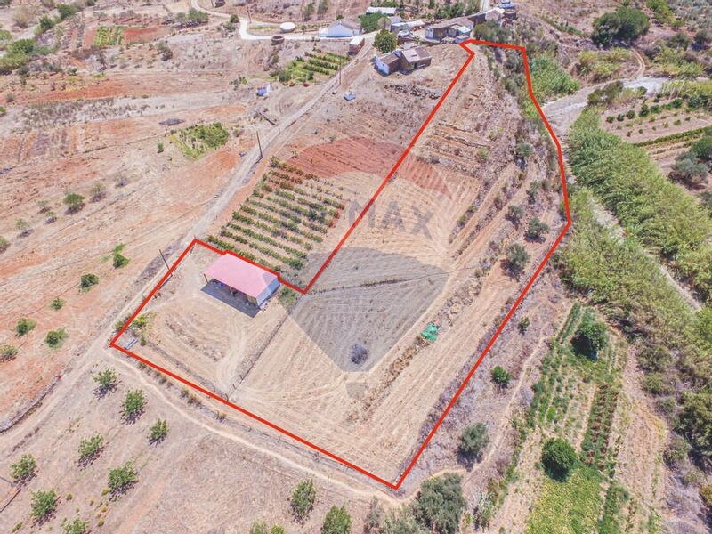 Land Agricultural with 3480sqm Santa Maria Tavira - arable crop, easy access, olive trees