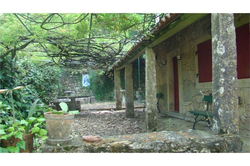 Farm 6 bedrooms Alverca do Ribatejo Vila Franca de Xira - olive trees