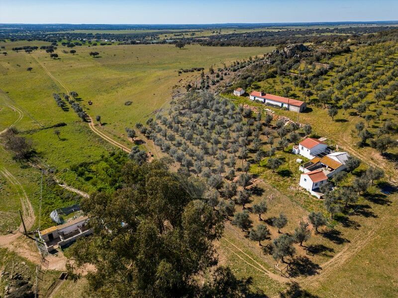 поместье Cabeço de Vide Fronteira - полеводство, оливковые деревья, вода