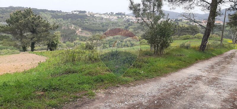Terreno com 118092m2 Bucelas Loures para venda - furo, água