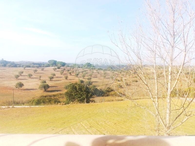Moradia Antiga bem localizada V4 Santarém - piscina, isolamento térmico, painéis solares, garagem, aquecimento central, isolamento acústico