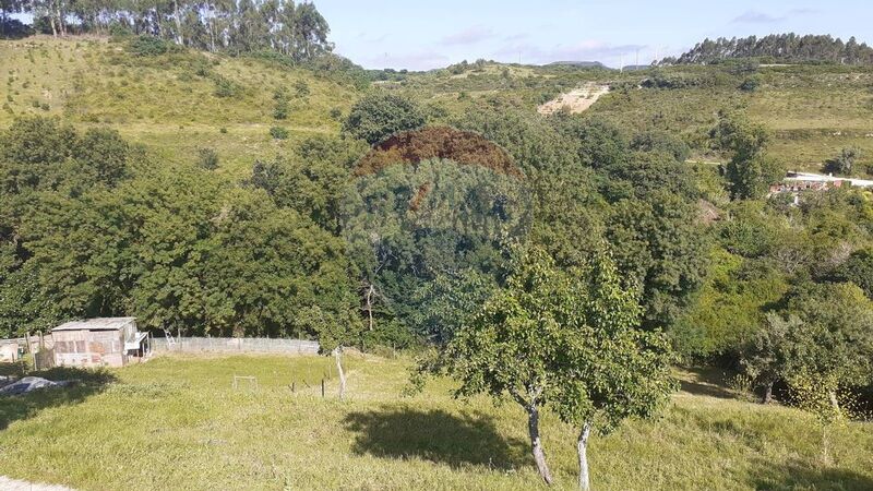 Terreno Rústico com 3720m2 Arranhó Arruda dos Vinhos - água, árvores de fruto