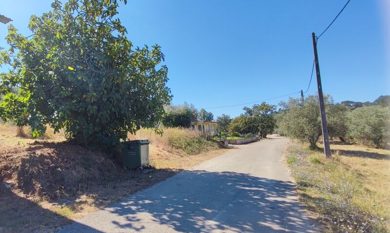 Land with 1890.92sqm Albergaria dos Doze Pombal