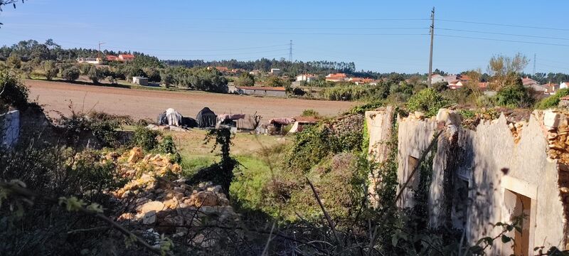 дом в руинах Maiorca Figueira da Foz - бассейн, сад