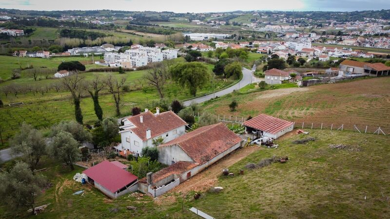 усадьба V6 Aljubarrota Alcobaça - гараж, экипированная кухня, экипированная, фруктовые деревья, чердак